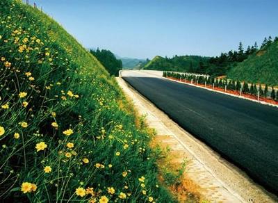 高速公路边坡绿化植物  高速公路边坡的绿化植物一般有那些 
