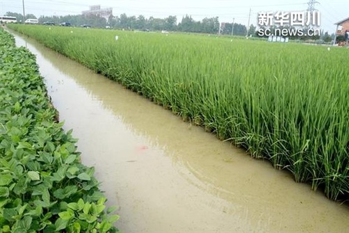 农田灌溉机简笔画 什么叫农田灌溉系统？