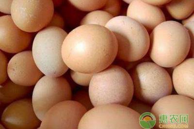 今日北京大洋路箱鸡蛋价格  今天北京鸡蛋价格 