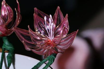 折水晶花 如何制作水晶花？