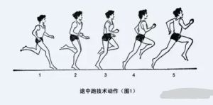 50个体能训练动作图解  50米短跑的动作要领,这样才能跑的更快,和平时的训练方法 