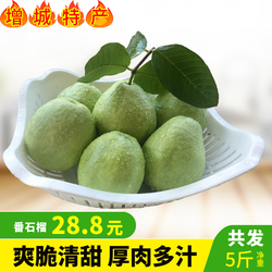 台湾的特产有龙眼吗 台湾的水果特产有什么？