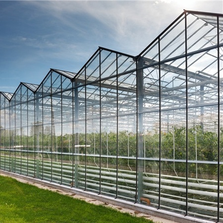 哪里买玻璃温室——玻璃温室大棚的建造——玻璃温室大棚施工——华亮连栋玻璃温室大棚...