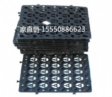 排水板厂家 宁河县塑料排水板生产厂家 排水板价格