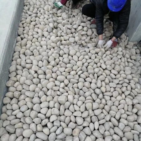 山东变压器鹅卵石批发，临沂5-8厘米天然鹅卵石厂家